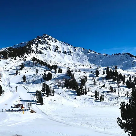 Les Platanes F4 Nendaz